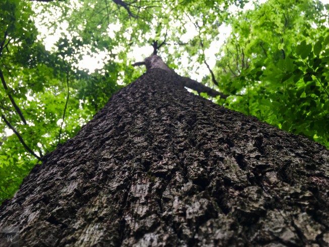 File Jun 23, 5 48 11 PM