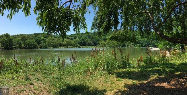 File Jun 27, 7 05 39 PM