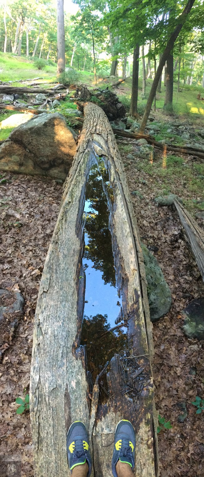 File Aug 14, 6 35 14 PM