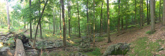 File Aug 14, 7 02 14 PM