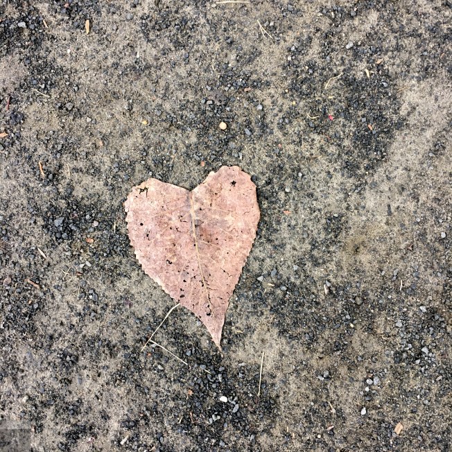 Photo Aug 06, 7 40 34 AM-2