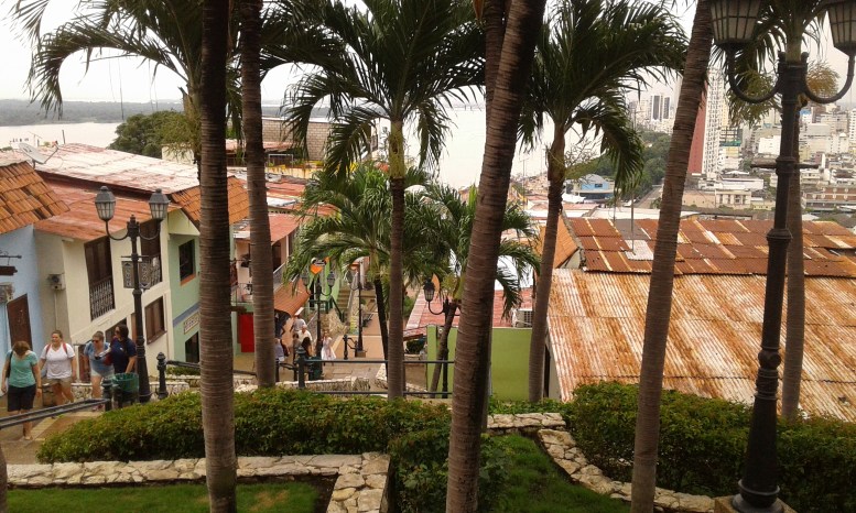 Photo 3-11-17, 11 17 02 AM